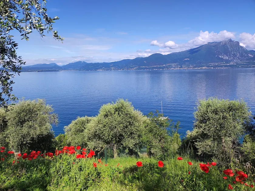 Casa Viola - large apartment 100 meters from the lake - Image 1