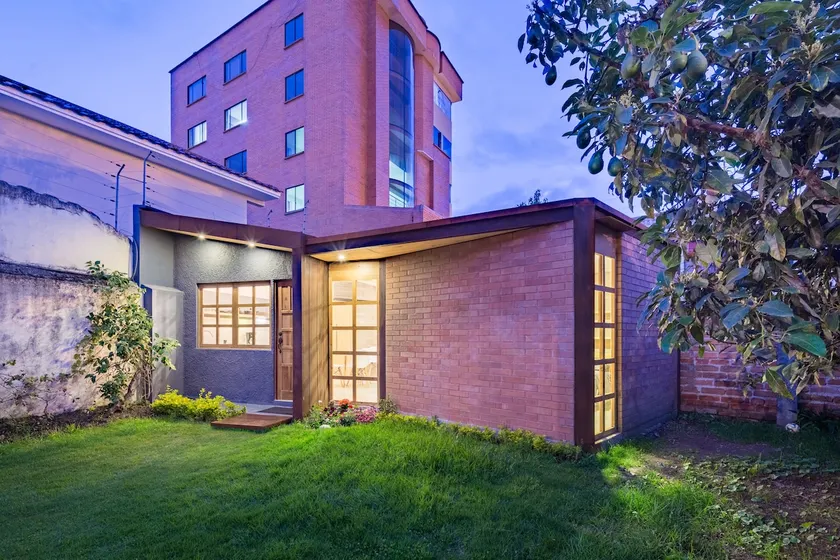 avocado tree garden at the heart of the city! - Image 1