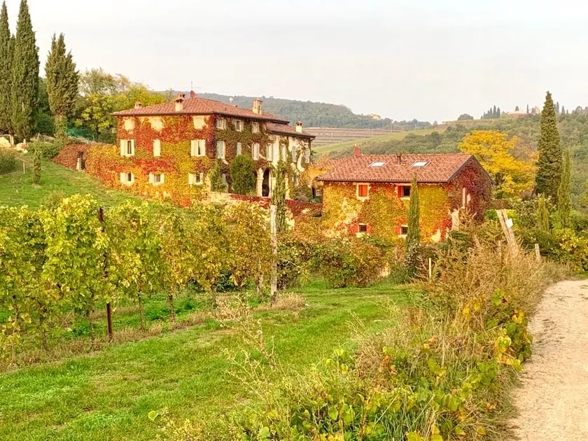 Ca' del Buso - Image 1