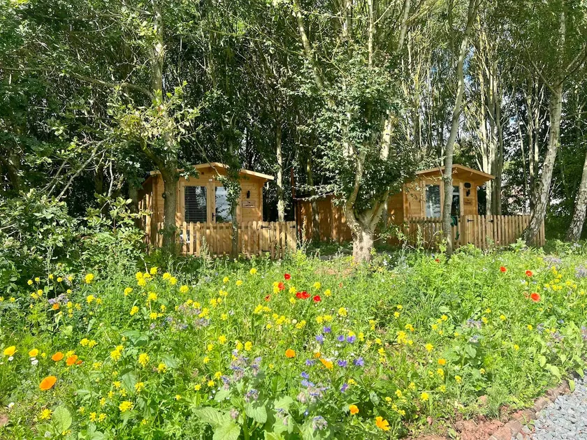 “The Hideaway” nestling in a tranquil woodland - Image 1