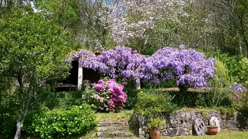 O Lughar Darriba Fogar Natural - Image 1