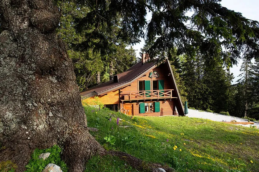 Chalet Alpinka 1 **** per 6 + 2, stazione sciistica Krvavec 1. 500m - Image 1