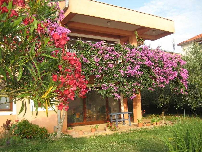 Apartment Lavanda - Image 1