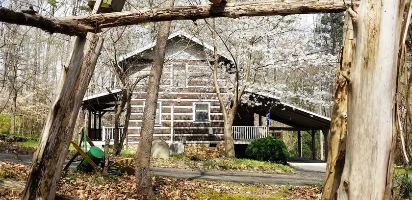 Cabin in the Hollow /Entire Cabin - Image 1