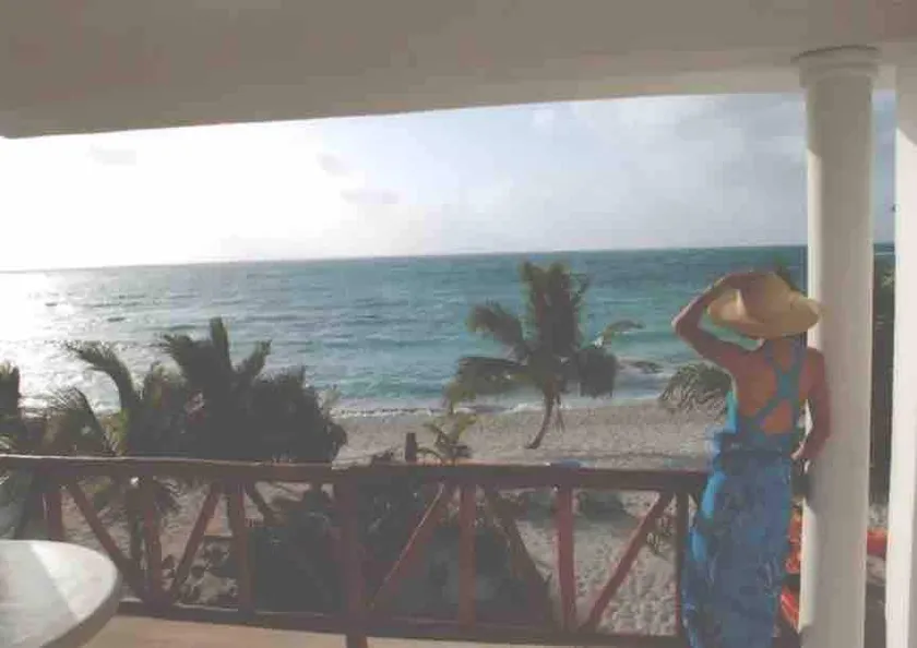 Paradise Beach with turtles - Image 1