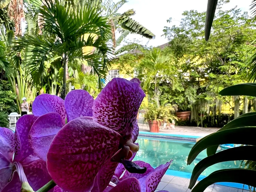 Orchid Cottage - Image 1