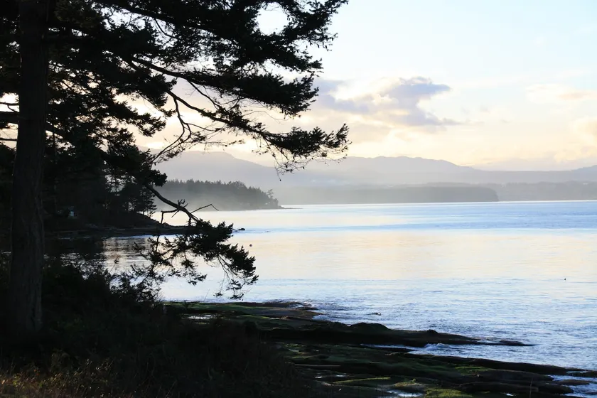 Sage Cottage at The Last Resort on Berry Point Road on Gabriola Island, B.C. - Image 1