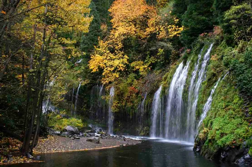 The Bird’s Nest, Walk to Waterfalls, Breakfast - Image 1