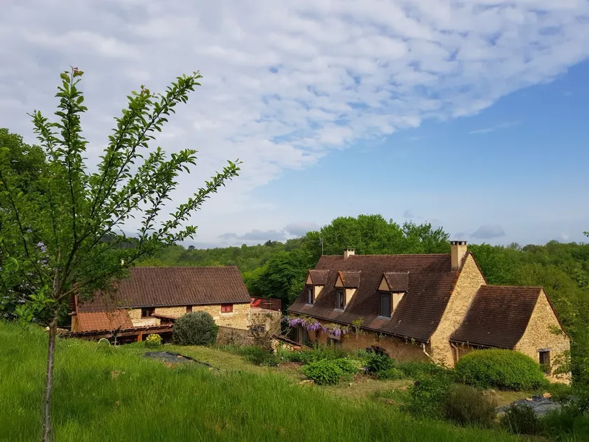 Restored old barn in the middle of the forest. - Image 1