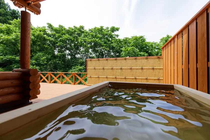 Private Natural Hot Spring Log House Retreat - Image 1