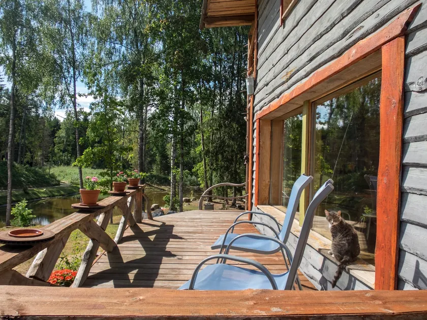 Elupuu forest cabin with sauna - Image 1