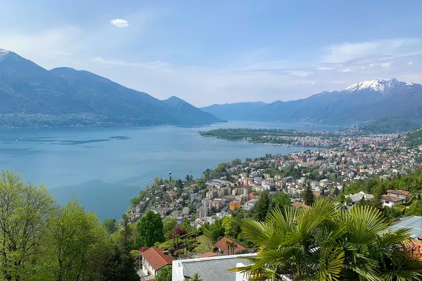 Lucertola Brione - enjoy the view. - Image 1