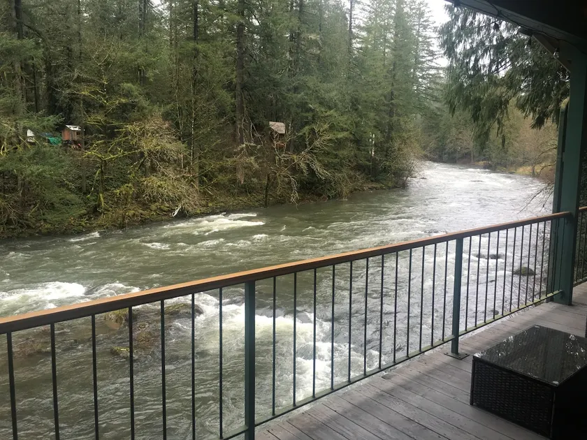 Riverfront Escape:Cozy Cabin offering unreal views - Image 1