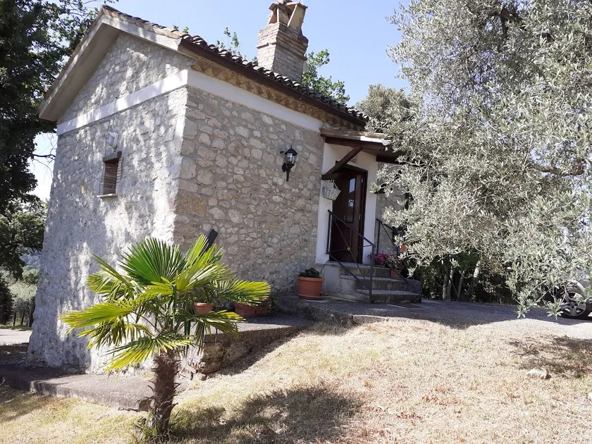 Stone farmhouse amidst greenery, secolar olive trees and privacy that reigns supreme  - Image 1