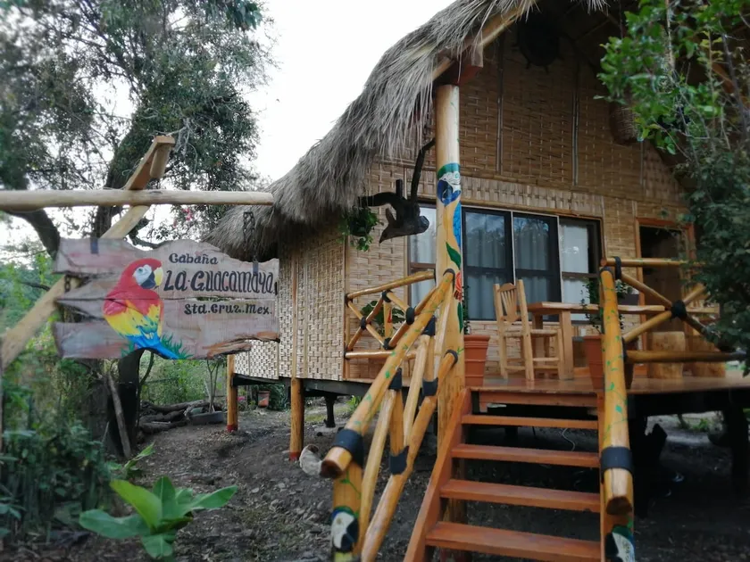 Double Cabin - ”La Guacamaya” - Image 1