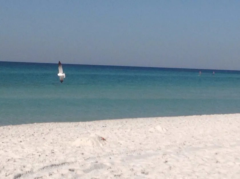 Okaloosa Island Beach condo18/Small Pet/Pool/Grill - Image 1