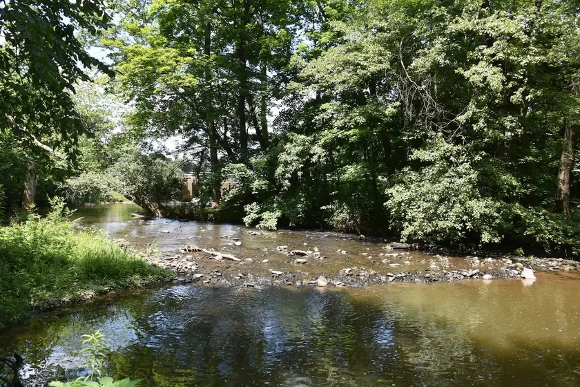 Chiques Creek Retreat 3 acres of restful woodland - Image 1