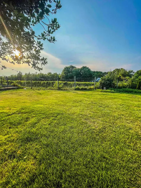 Farm house with vineyard views - Image 1