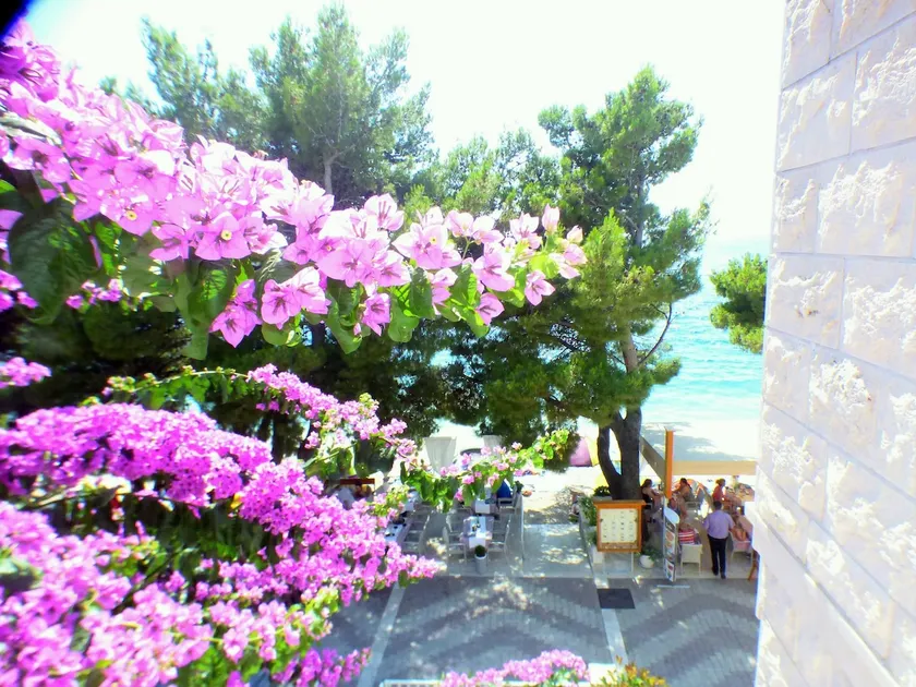 Apartments Zovko - Image 1