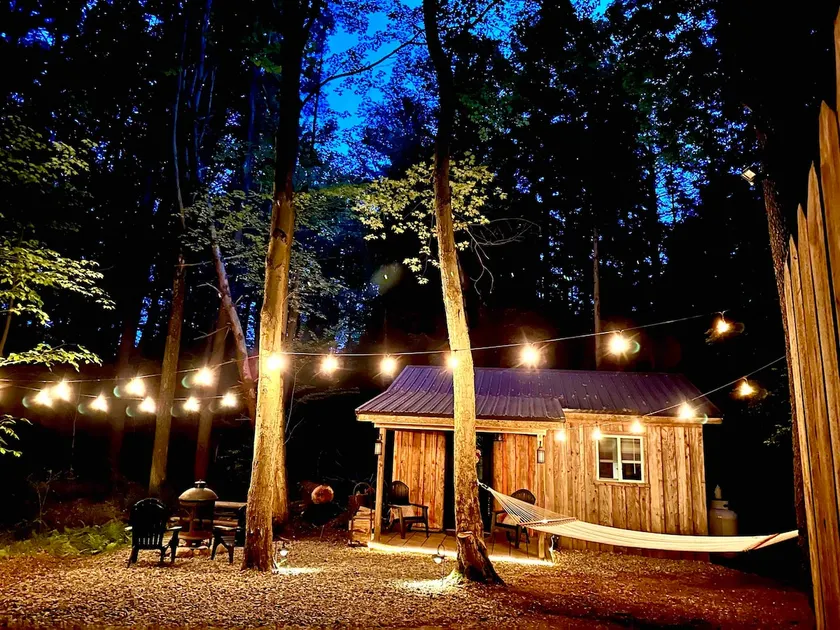 Forestville Studio Cabin (Rural Guest Home) - Image 1