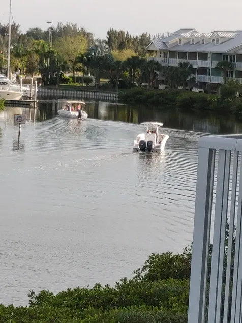 The White Dolphin at Little Harbor - Image 1