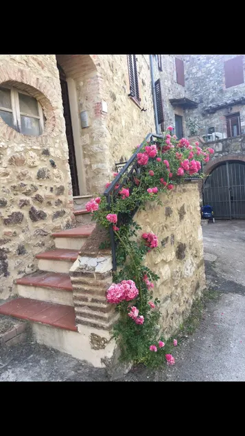 Rosa di Maggio - Alba Apartment - Image 1