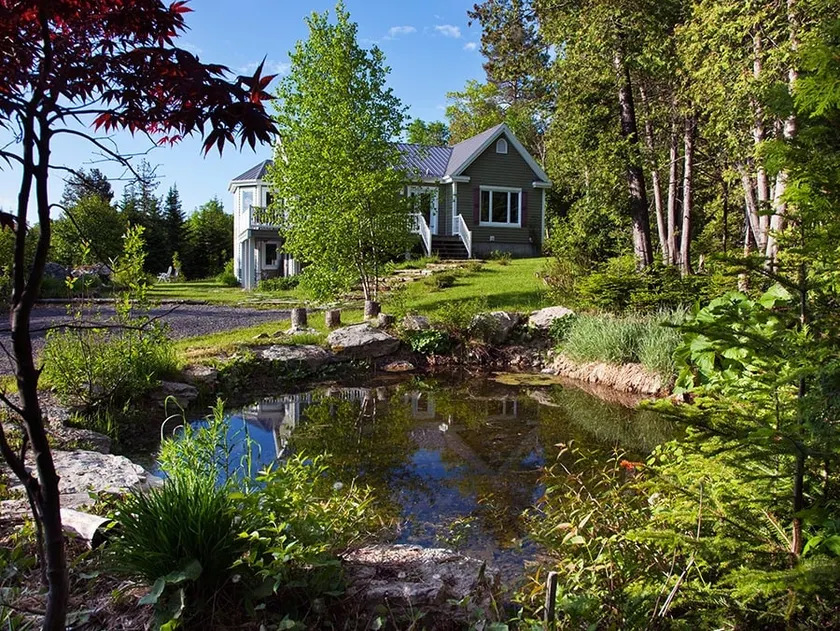 Foresteria, river, mountain and SPA! - Image 1