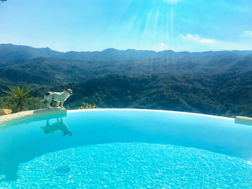 The house among the olive trees, entire cabin, pool & love - Image 1