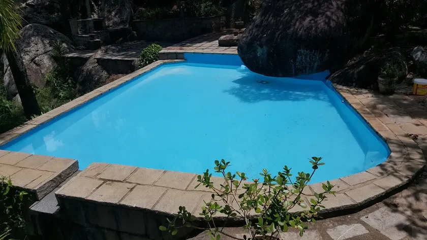 Quinta das Araucárias: Nature & Tranquility - Image 1