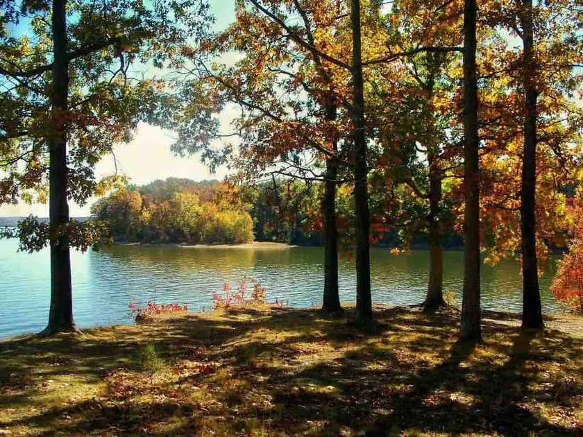 It’s Kayaking and Fishing Time - Image 1