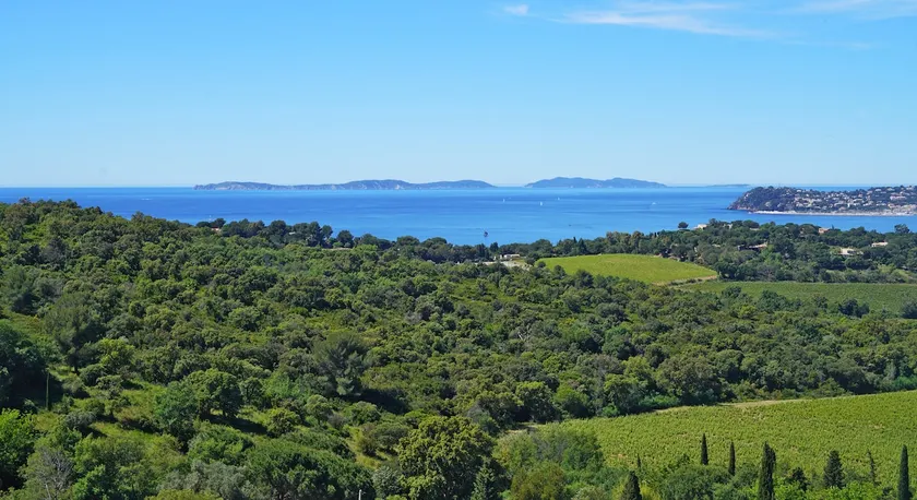 La Croix-Valmer: Sea and Vines at Kensington - Image 1