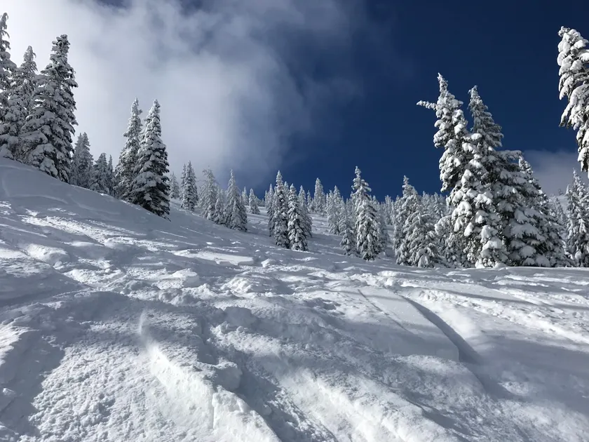 Mount Hood Retreat in Welches - Image 1