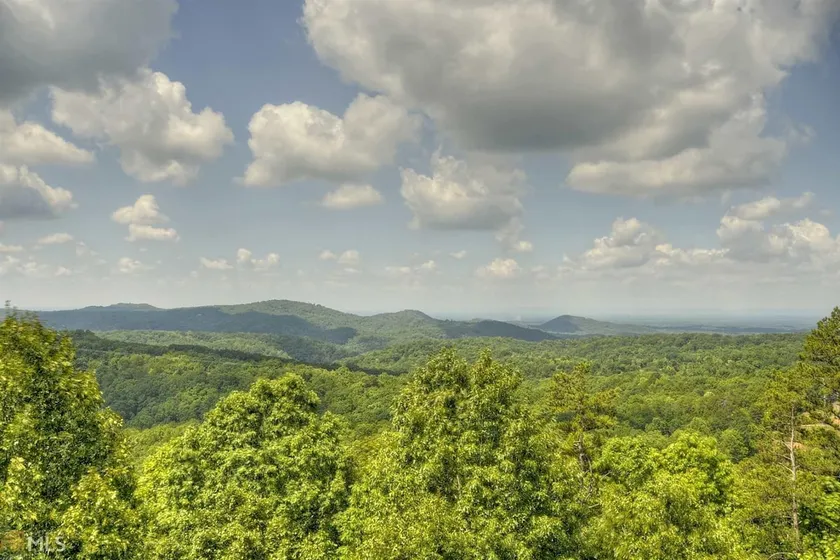 Endless Views - Private 5BR Luxury Lodge Hot Tub - Image 1