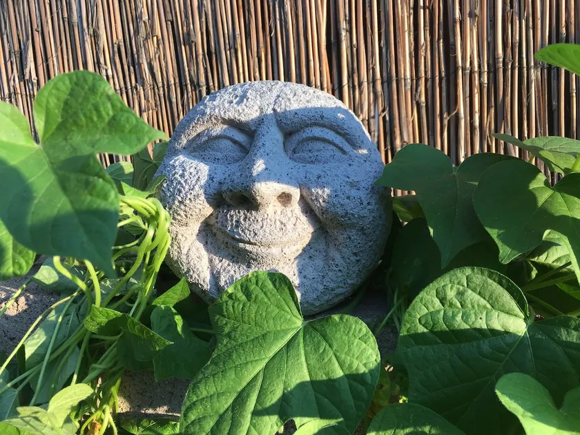 More Good Energy! - Image 1