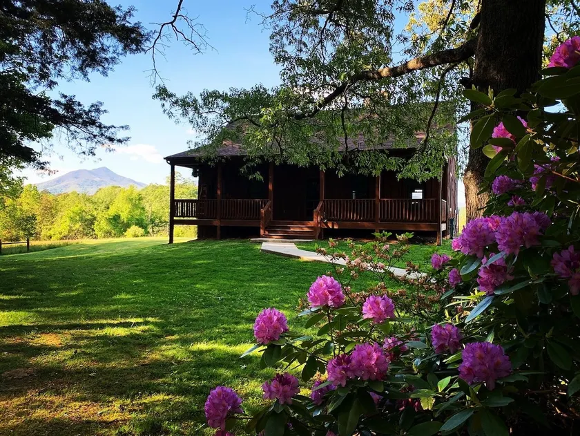 Julie’s Cabin, Private & Secluded, Peaceful Paradise with views, Dogs OK - Image 1