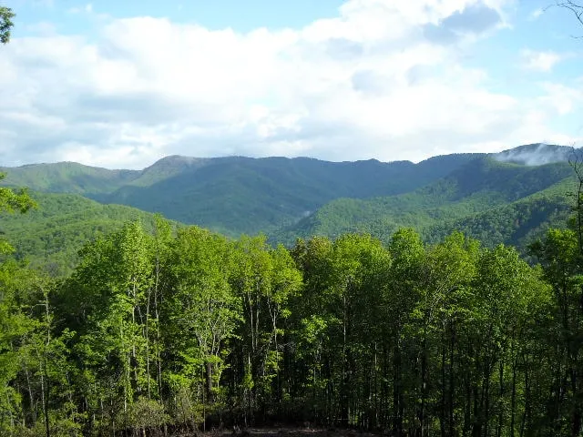 Stone Mountain Sanctuary - Blue Ridge Luxury Cabin med fantastisk udsigt! - Image 1