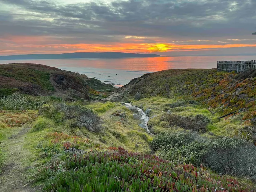 Jean’s Retreat: Ocean Views and Wildlife Wonders - Image 1