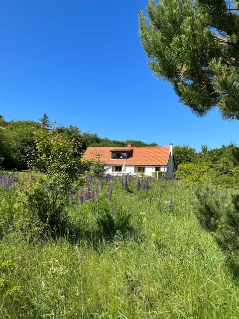 Newly renovated cottage in beautiful nature - Image 1