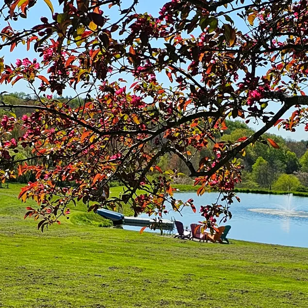 Make memories at the Farmhouse at Boyds Mills - Image 1