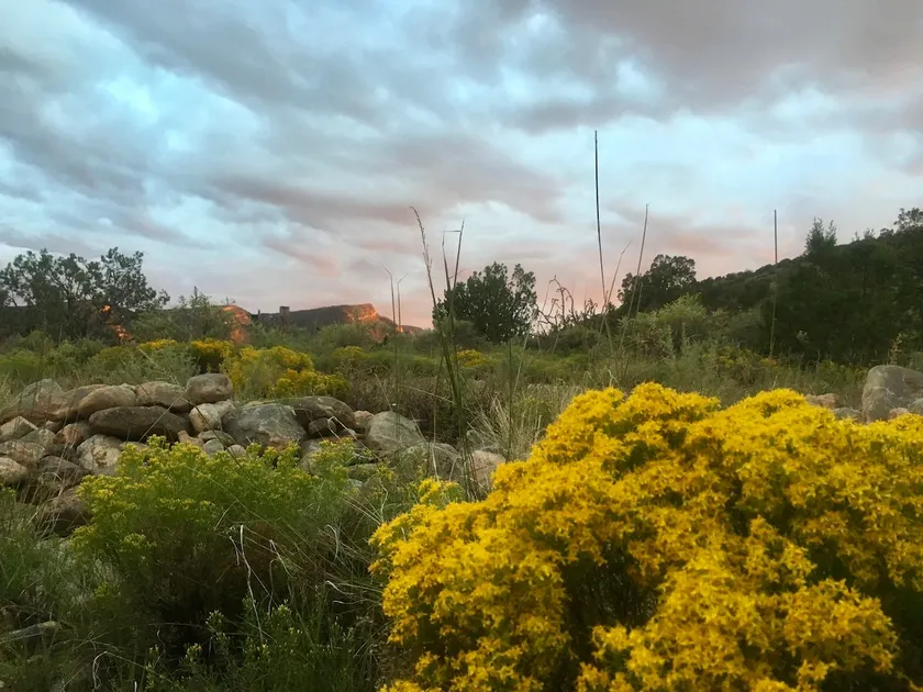 Placitas Sanctuary - Image 1