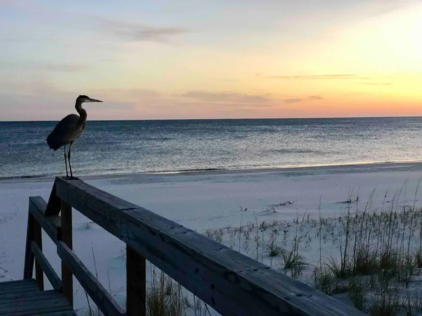 CondoOnTheKey*Pool & Private Access to Beach* - Image 1