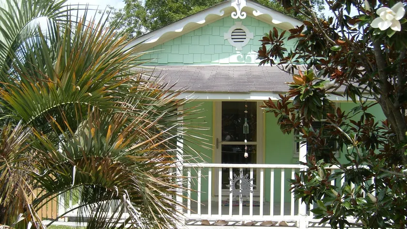 Palm Suite - Image 1