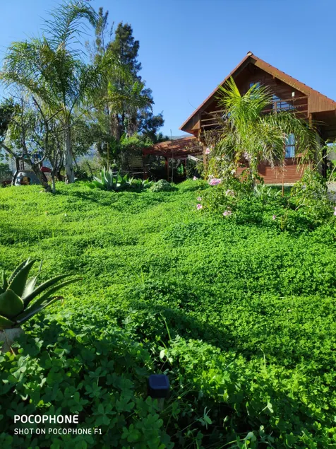 WOODEN HOUSE - El Chorro (The Stream) - Image 1