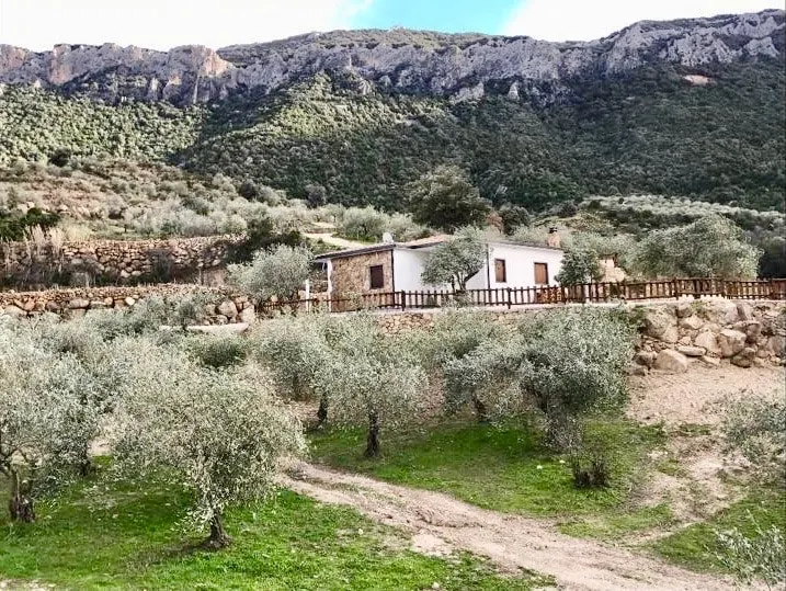 Villa surrounded by greenery. Relaxation area and BBQ - Image 1