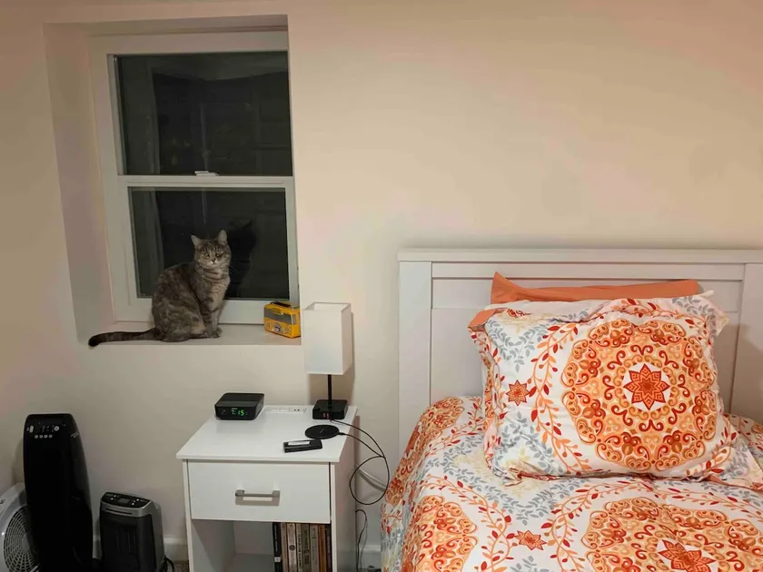 cozy basement suite - Image 1