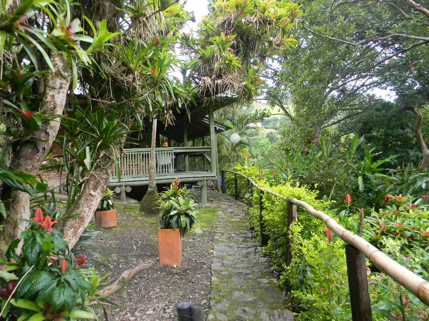 BEAUTIFUL COUNTRY STUDIO IN CHOACHI - Image 1