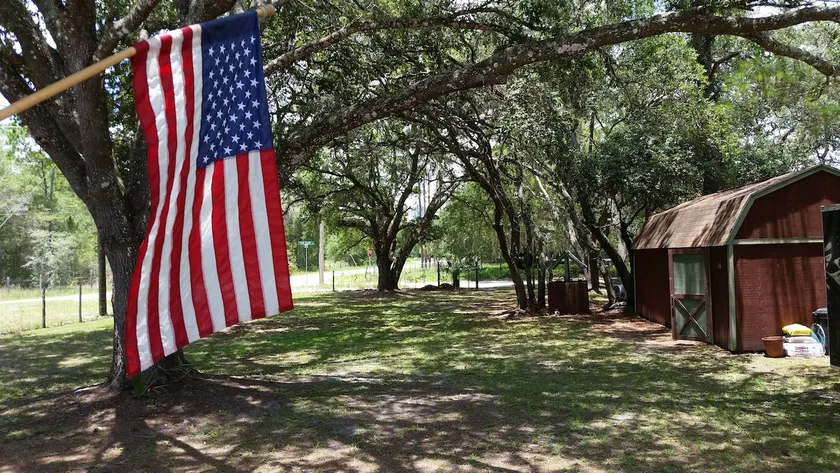 La Fish Camp - Image 1