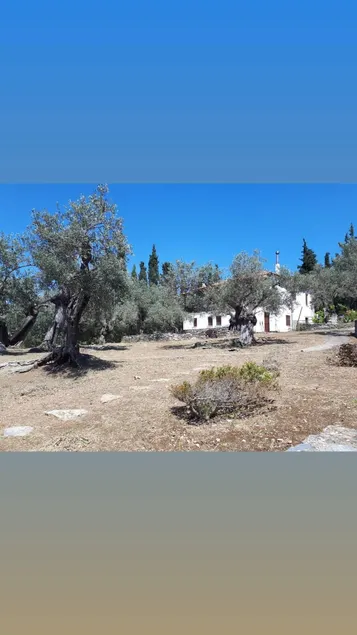 Kalamos Point - Reformed Warehouse next to the sea - Image 1