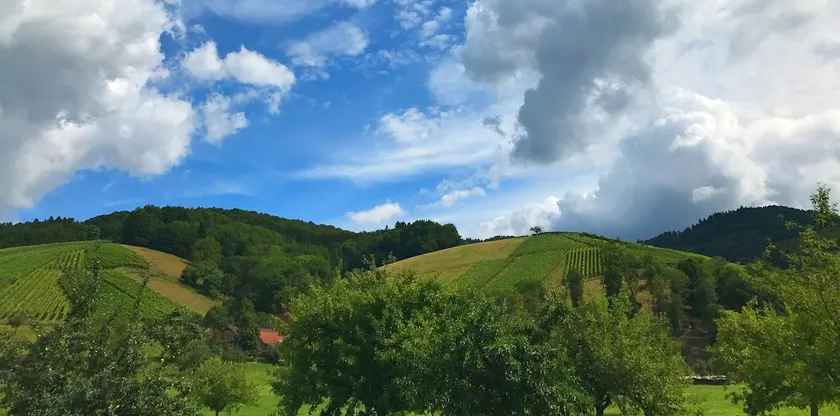 Charming artist's apartment by the vineyard near Freiburg - Image 1