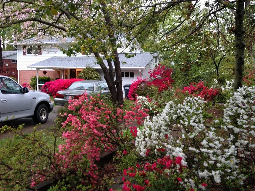 Beautiful Home in Springfield, VA, near DC! - Image 1
